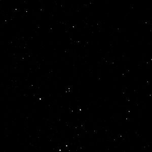 Meet your Posher, Bobby